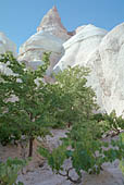Cappadocia, the Rose valley 